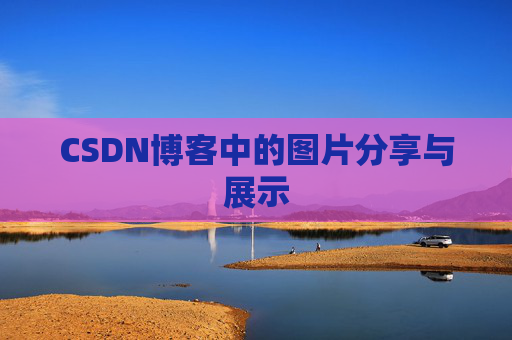 CSDN博客中的图片分享与展示